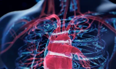 இதய செயலிழப்பை கணிக்கும் AI