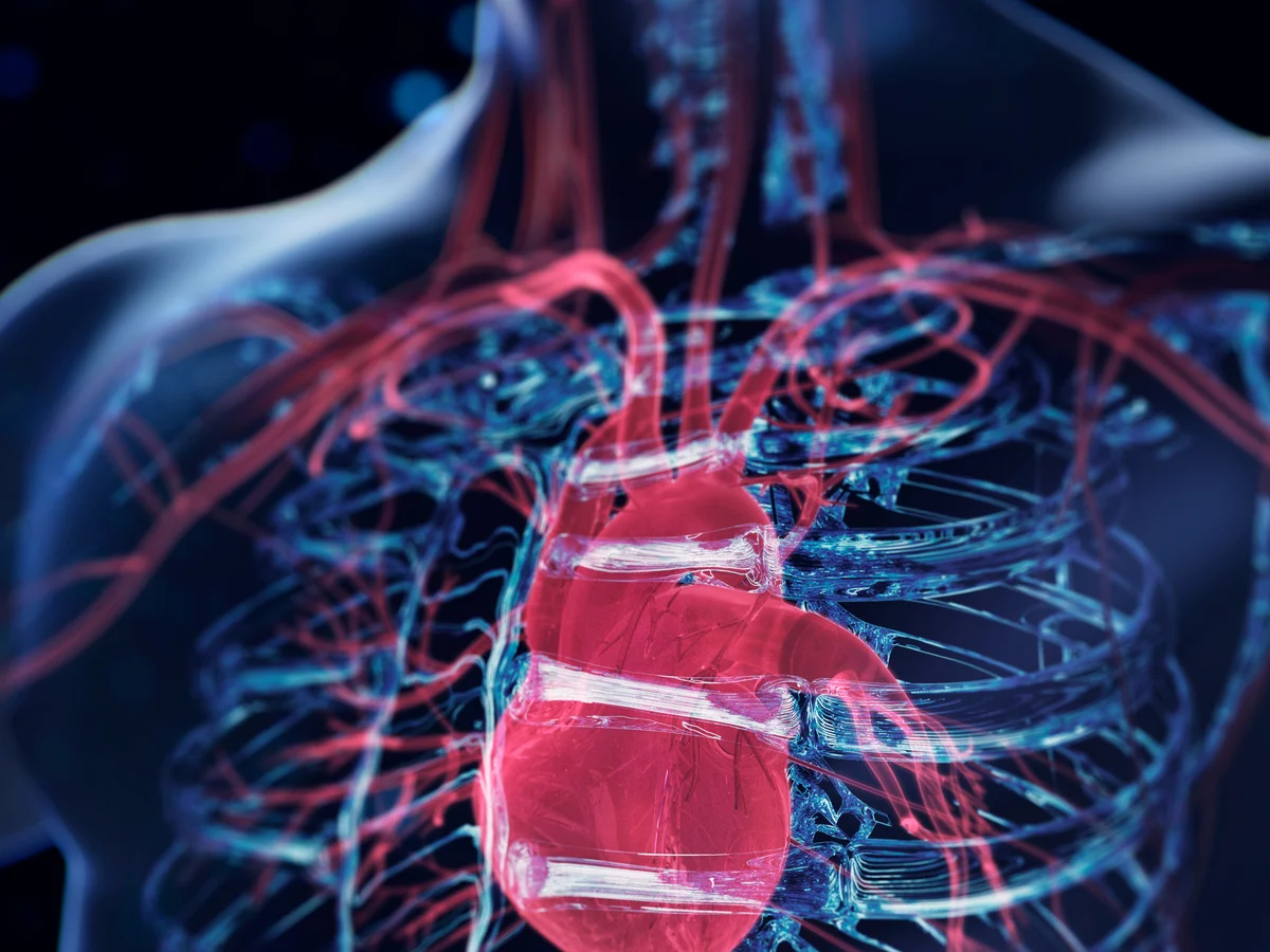 இதய செயலிழப்பை கணிக்கும் AI